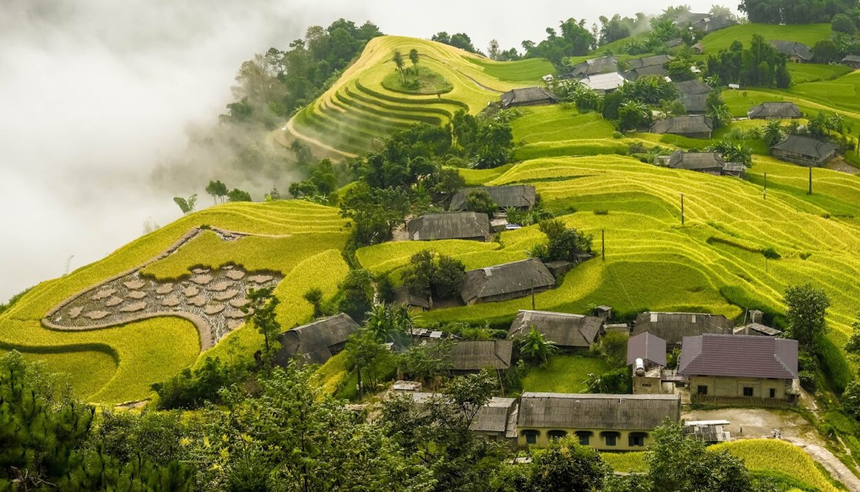 du lịch hoàng su phì - Hình 4