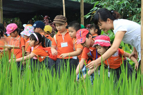 du lịch học đường - Hình 1