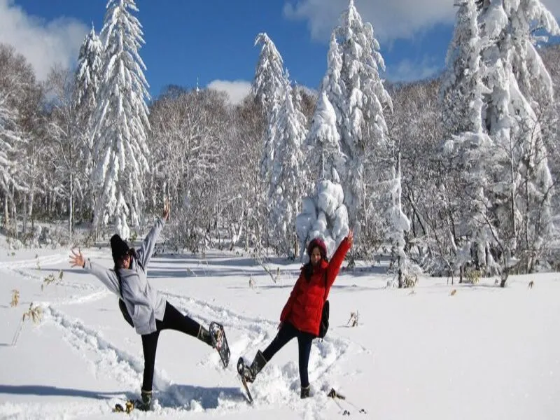 du lịch hokkaido mùa đông - Hình 5