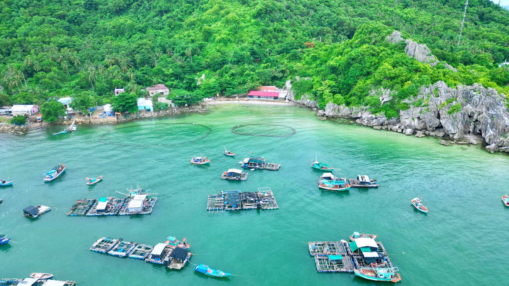 du lịch hòn nghệ - Hình 3