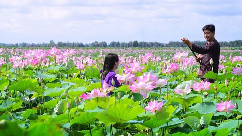du lịch hồng ngự - Hình 5