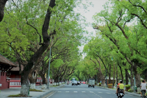 du lịch huế tháng mấy