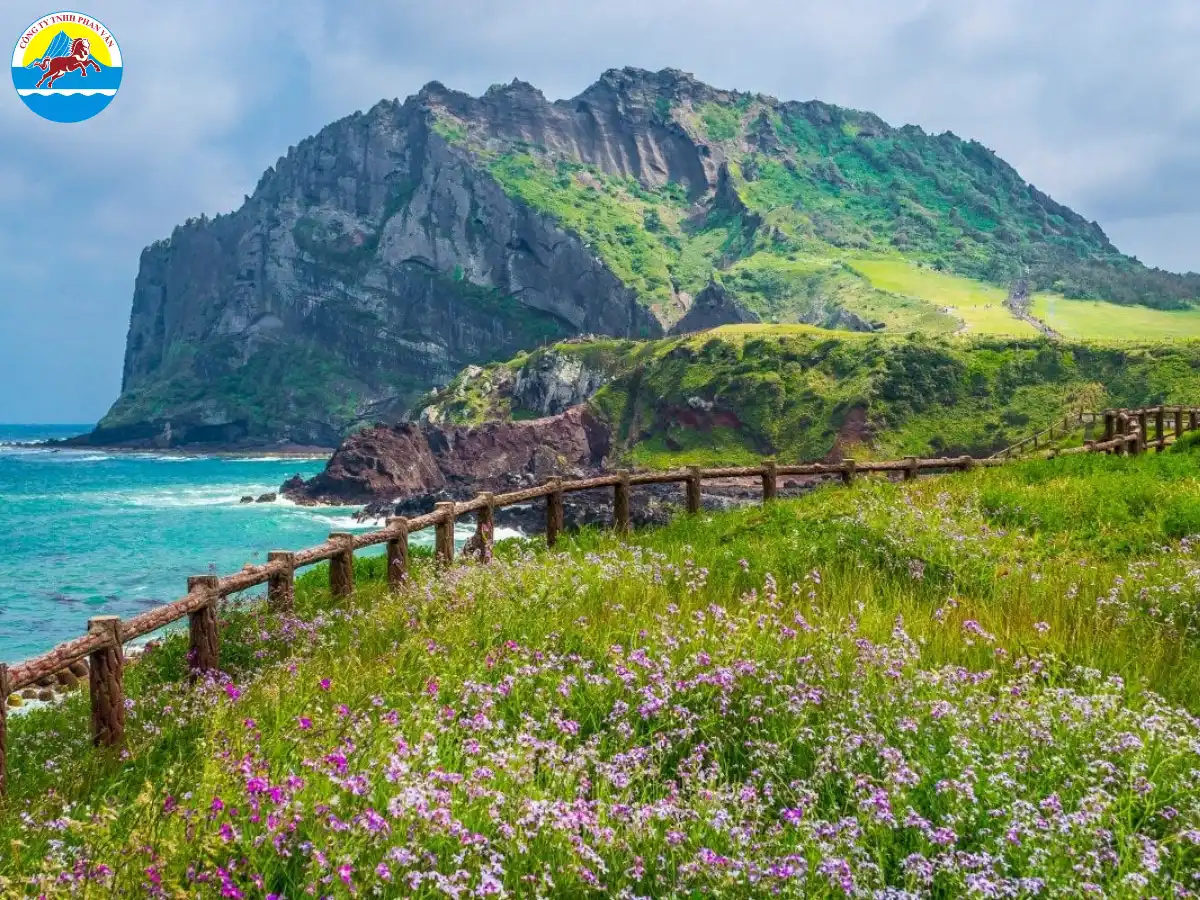 du lịch jeju hàn quốc - Hình 3
