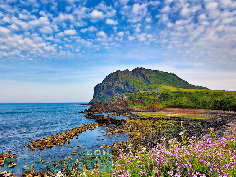 du lịch jeju hàn quốc - Hình 5