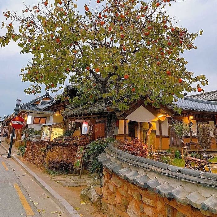 du lịch jeonju - Hình 2