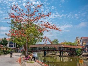 du lịch kim sơn ninh bình