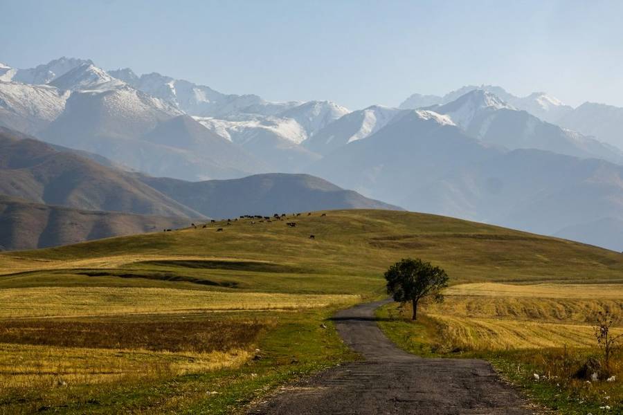 du lịch kyrgyzstan tự túc - Hình 5