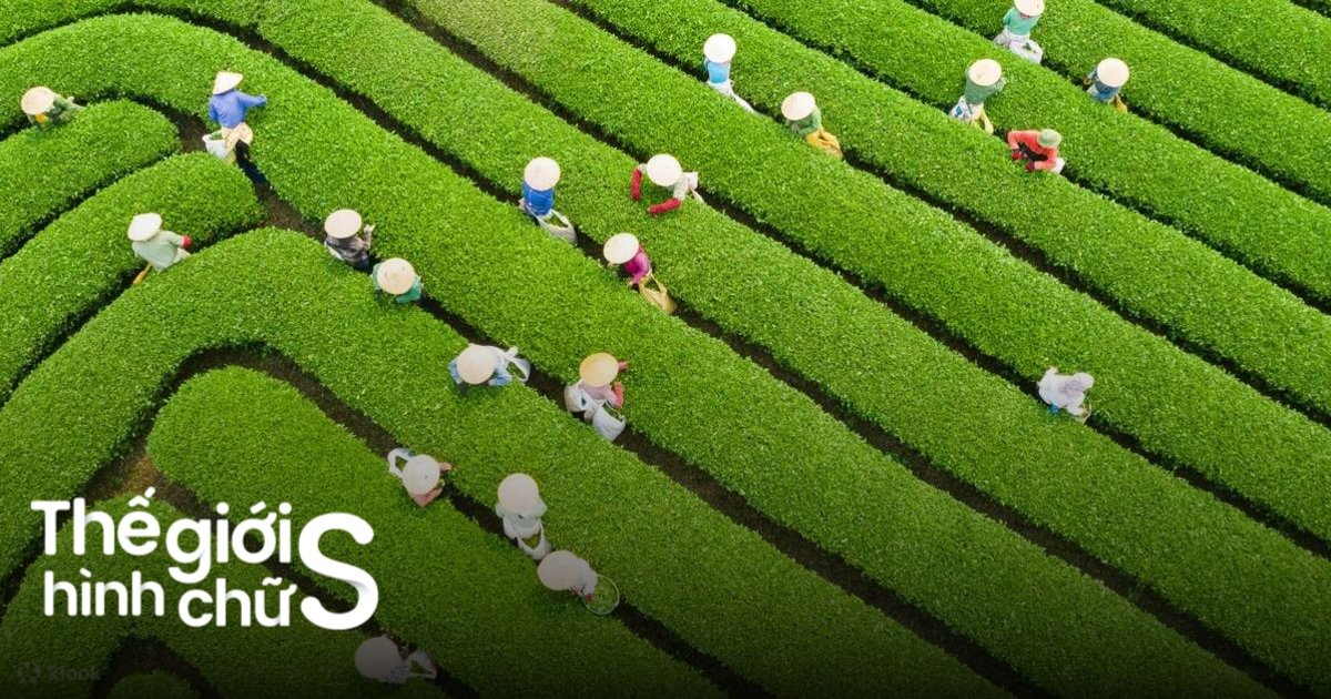 du lịch lai châu 2 ngày 1 đêm - Hình 5
