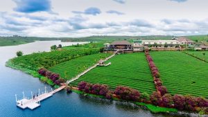 du lịch lâm hà