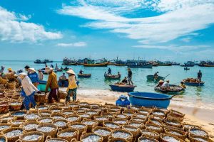 du lịch làng chài