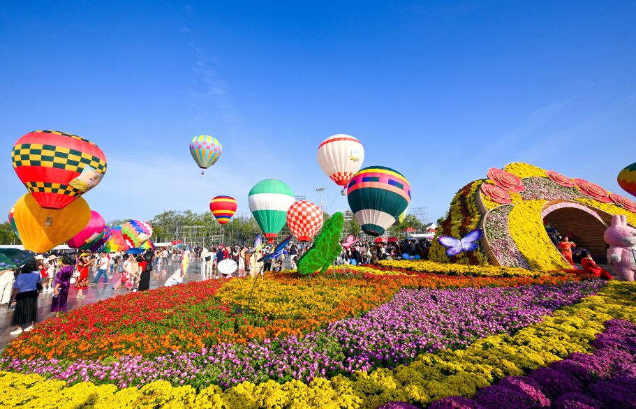 du lịch làng hoa sa đéc - Hình 3