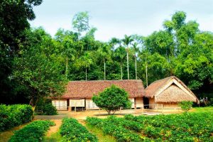 du lịch làng sen quê bác