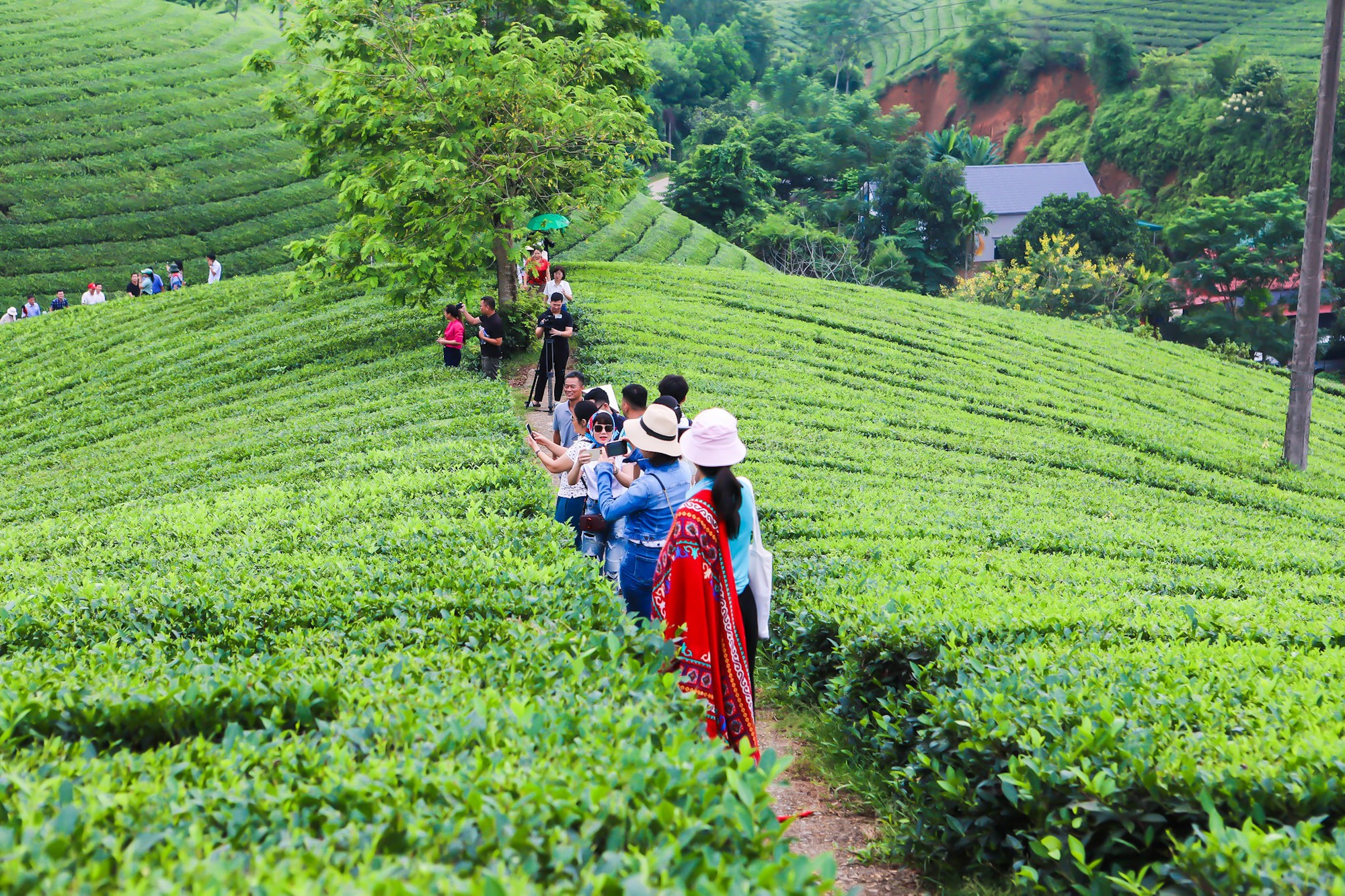 du lịch long cốc - Hình 3