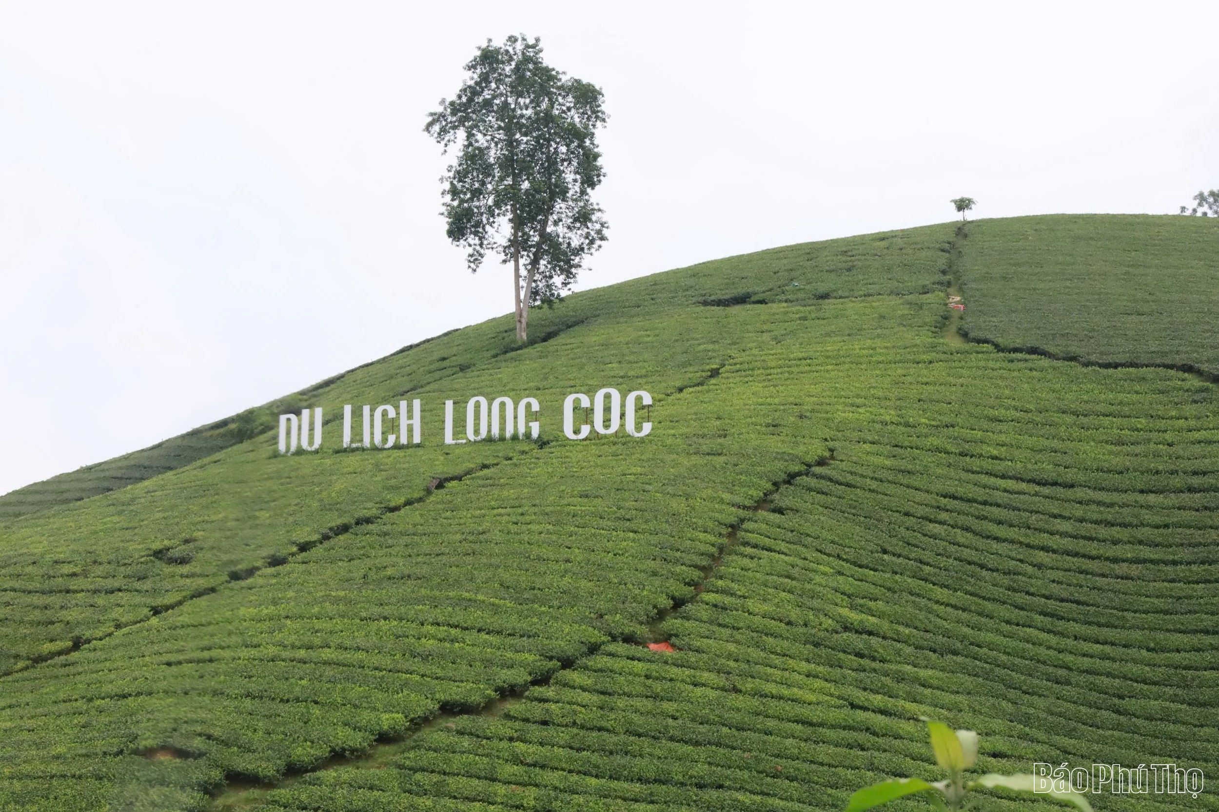 du lịch long cốc - Hình 4