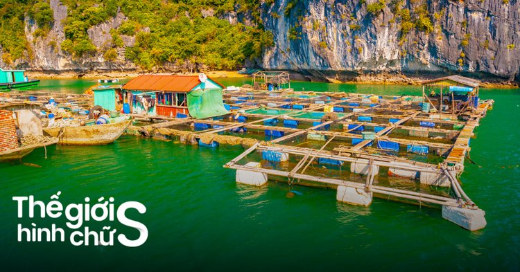du lịch long sơn - Hình 2