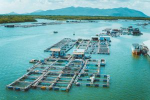 du lịch long sơn