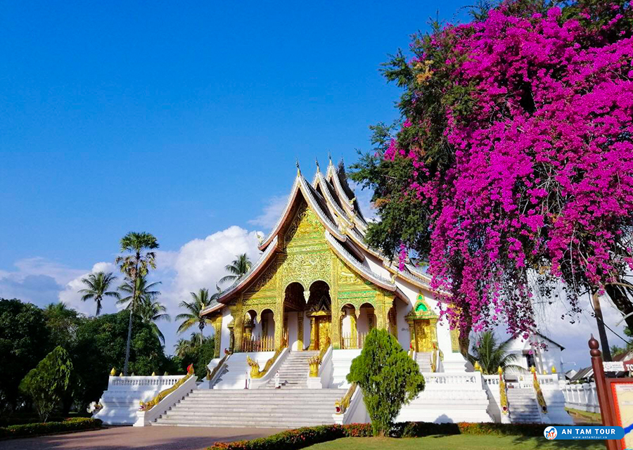du lịch luang prabang tự túc - Hình 5