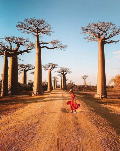 du lịch madagascar - Hình 4