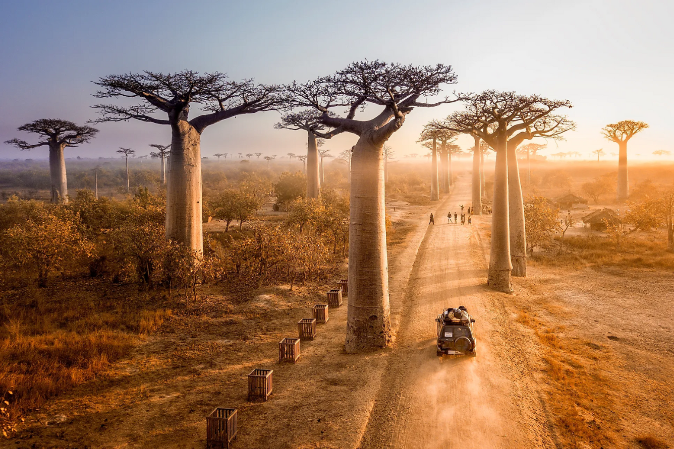 du lịch madagascar - Hình 1