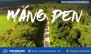du lịch măng đen từ tphcm