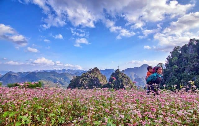 du lịch miền bắc tháng 10 - Hình 1