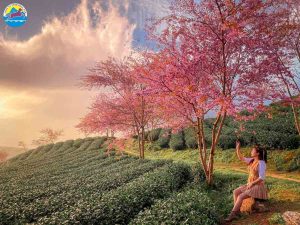 du lịch miền bắc tháng 12