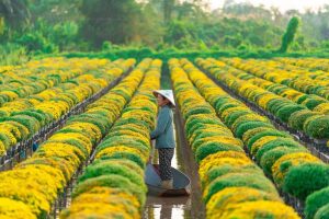 du lịch miền tây tháng 1
