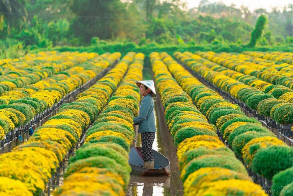 du lịch miền tây tháng 1 - Hình 1