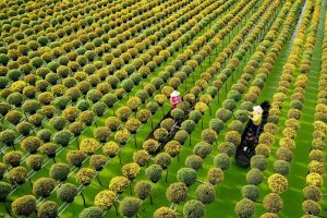 du lịch miền tây tháng 12
