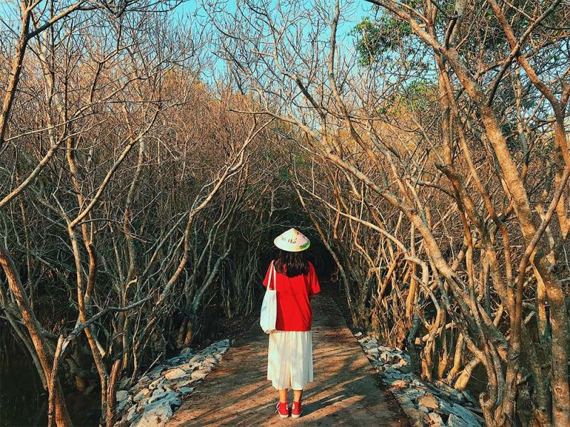 du lịch miền tây tháng 3 - Hình 2