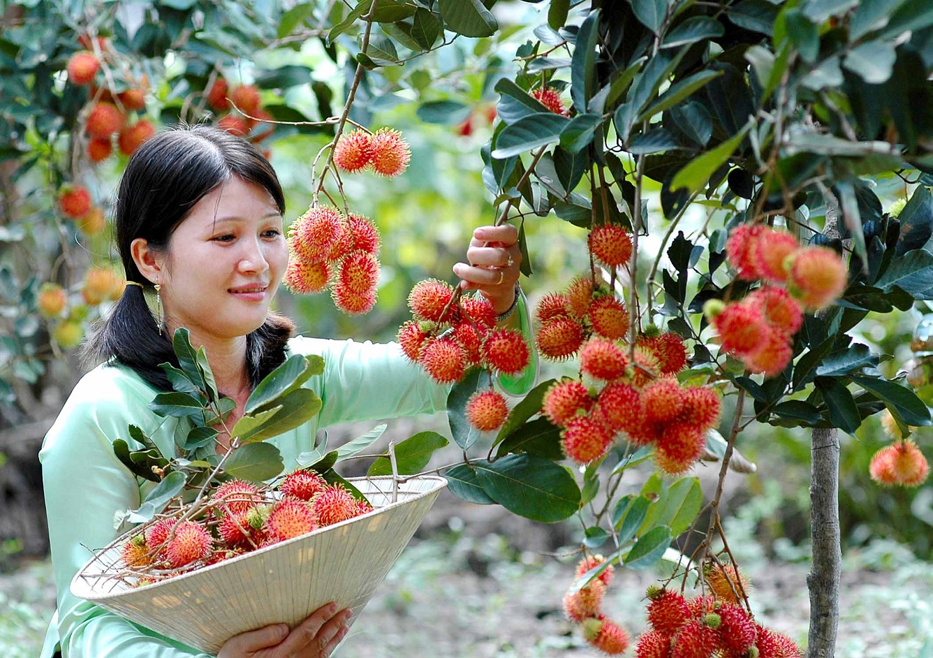 du lịch miền tây tháng 6 - Hình 2