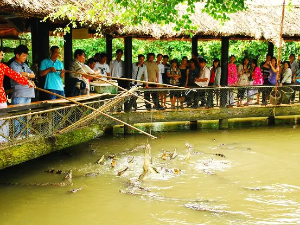 du lịch miệt vườn cần thơ - Hình 4