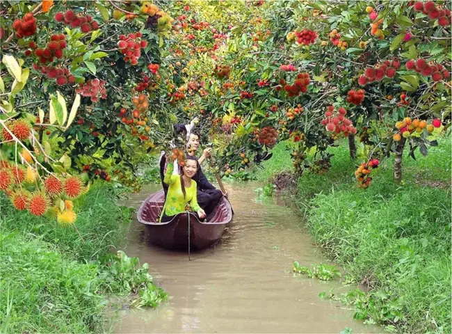 du lịch miệt vườn là gì - Hình 3