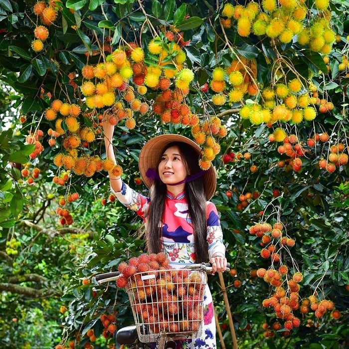 du lịch miệt vườn miền tây - Hình 5