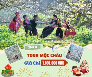 du lịch mộc châu 1 ngày