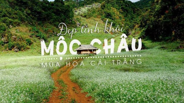 du lịch mộc châu 1 ngày - Hình 5