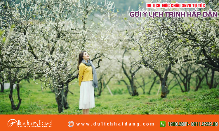 du lịch mộc châu 3 ngày 2 đêm tự túc - Hình 3