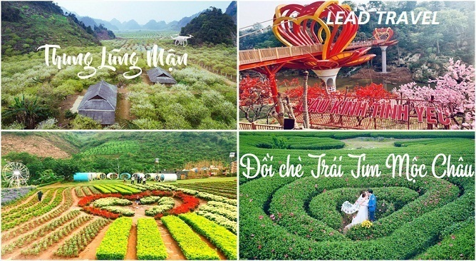 du lịch mộc châu mùa nào đẹp nhất - Hình 4