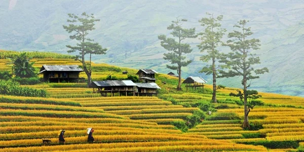 du lịch mộc châu tháng 10 - Hình 2