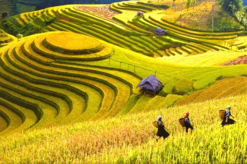 du lịch mộc châu tháng 10 - Hình 3