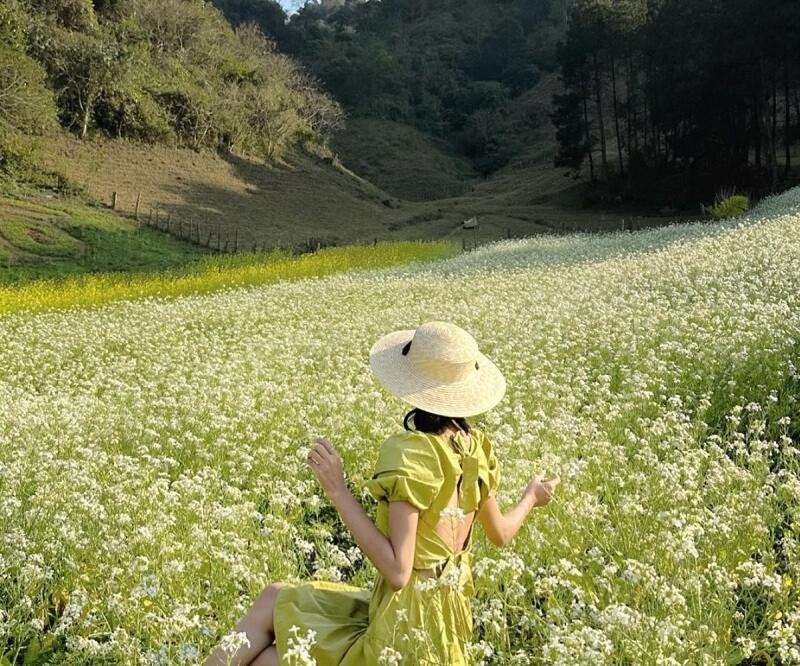 du lịch mộc châu tháng 11 - Hình 2