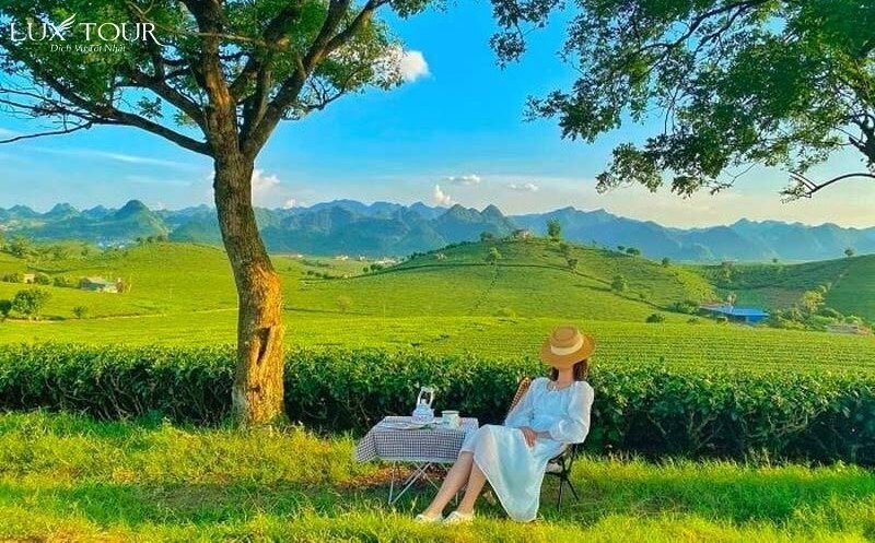 du lịch mộc châu tháng 4 - Hình 1