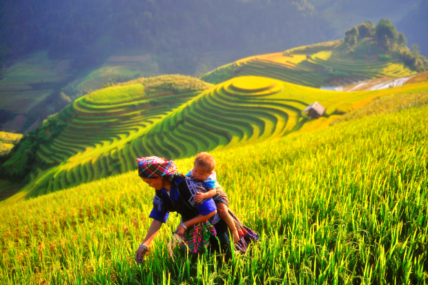 du lịch mù cang chải tháng 9 - Hình 3