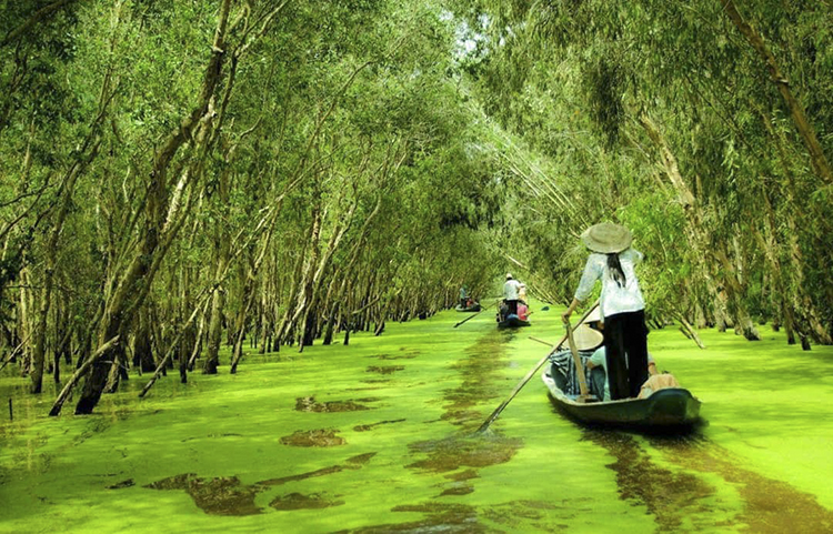 du lịch mùa nước nổi - Hình 4