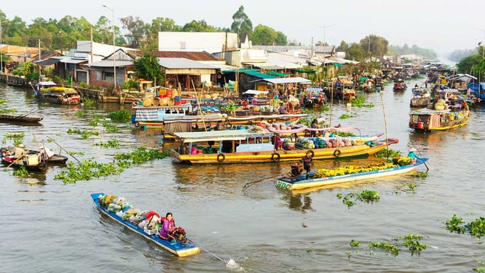 du lịch mùa nước nổi - Hình 5