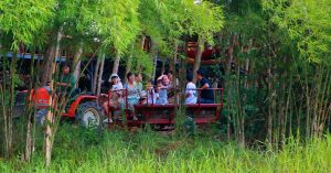 du lịch net zero