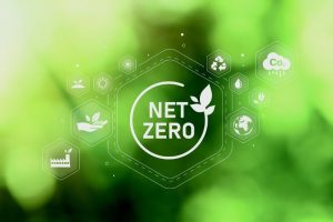 du lịch net zero là gì