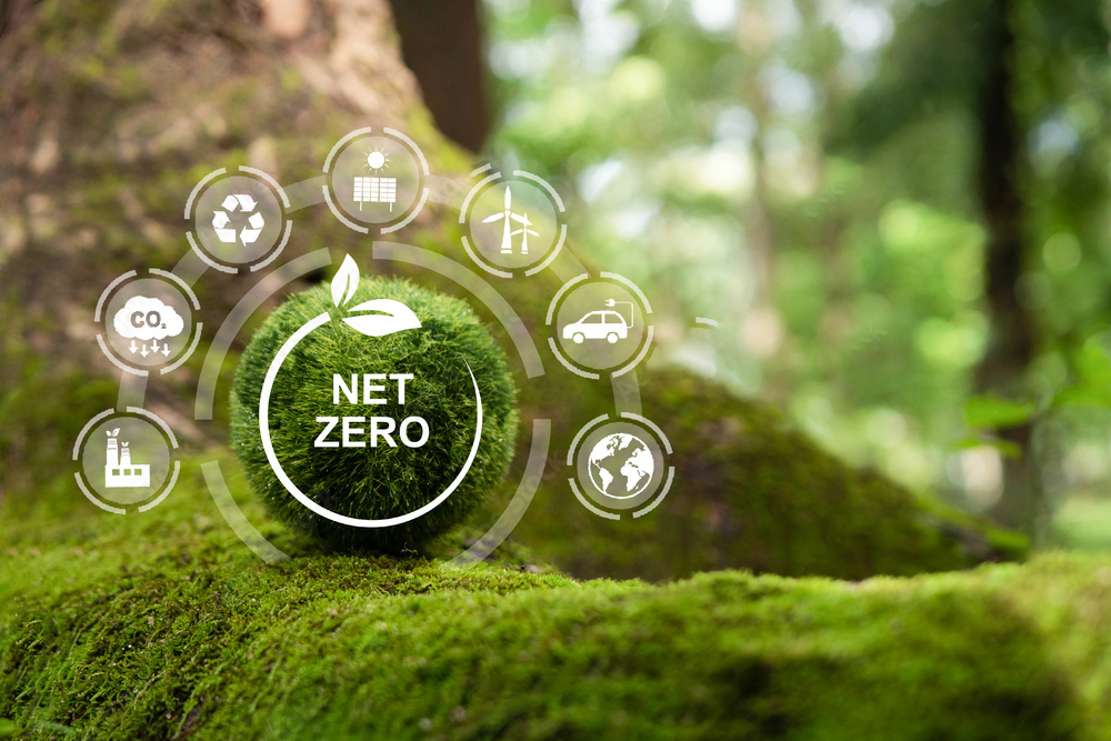 du lịch net zero là gì - Hình 4
