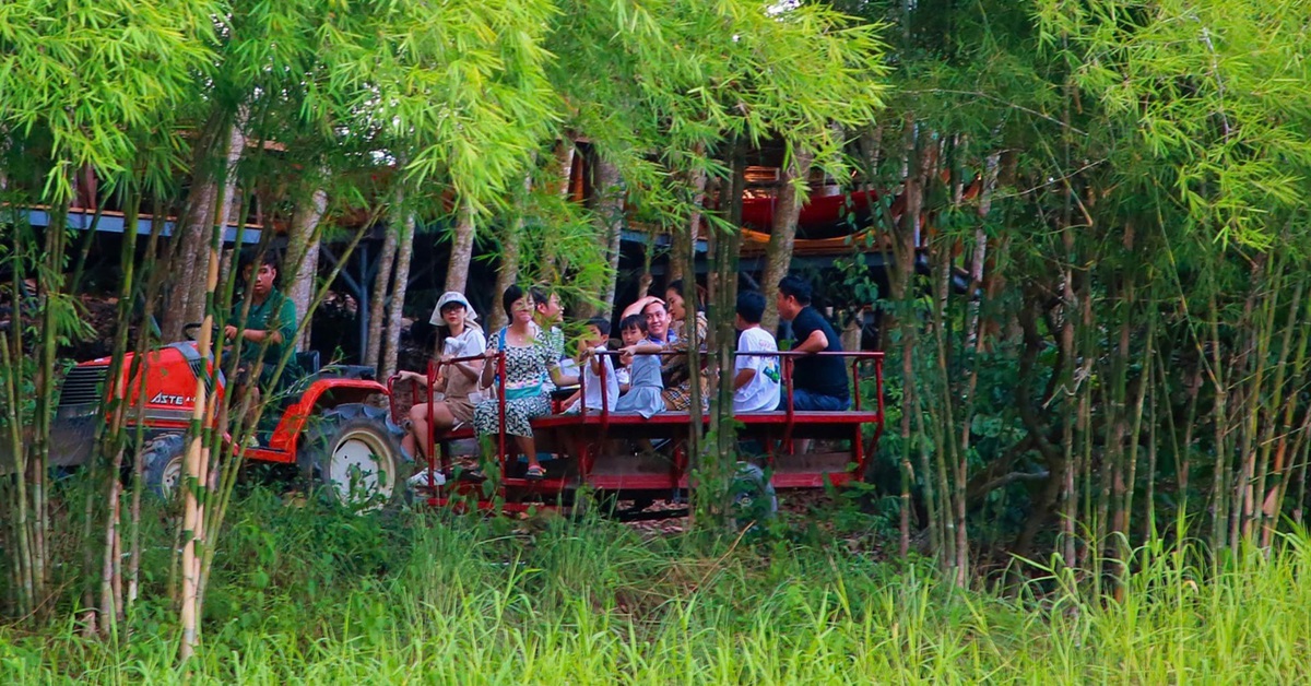 du lịch net zero - Hình 1