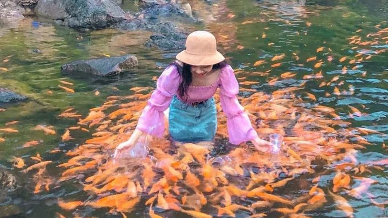 du lịch nghĩa đàn - Hình 2